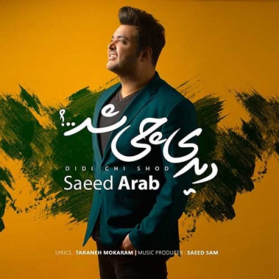 دانلود آهنگ جدید سعید عرب به نام آره دیوونم
